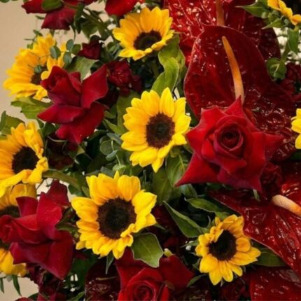 نمای حرفه‌ای از باکس گل آفتابگردان